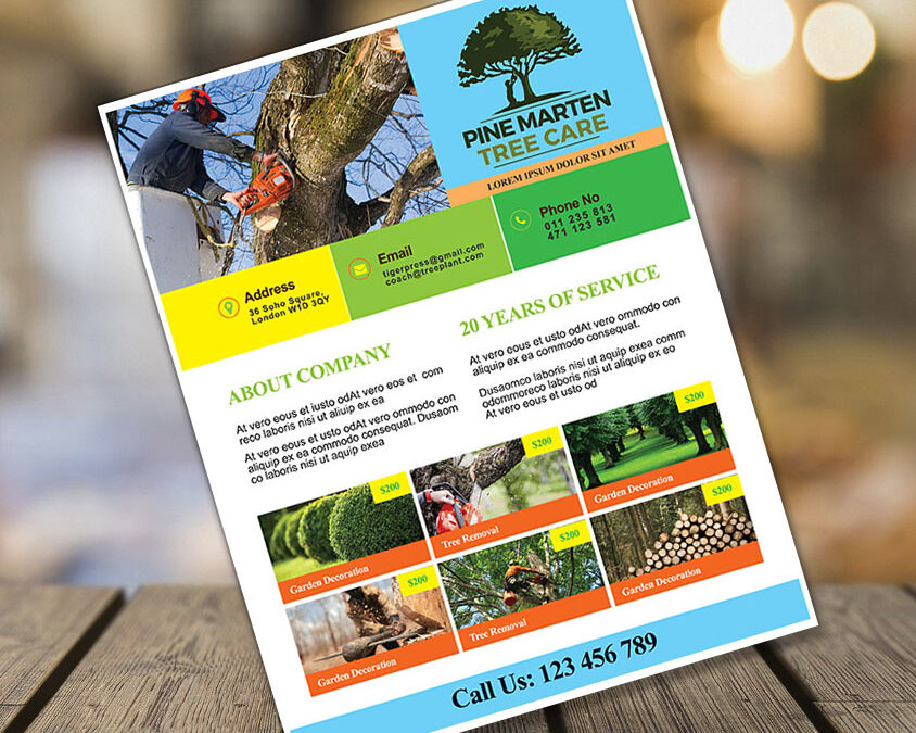 Get High-Quality Color Copies – Free Shipping Included!